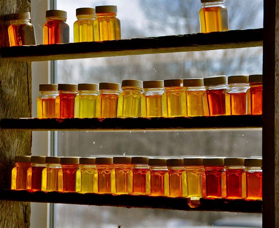 Pure Vermont Maple Syrup, Wood Fired, 8.45 ounce glass jug